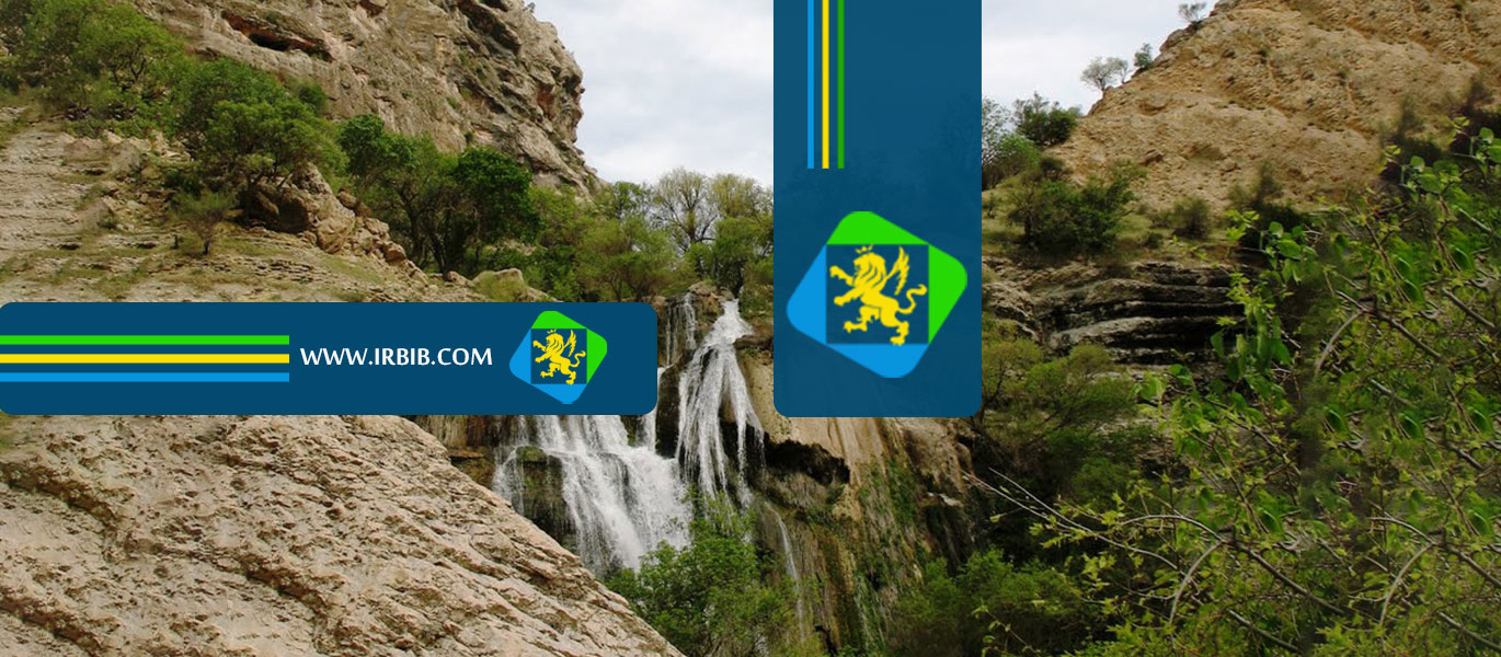 مهناز باقری