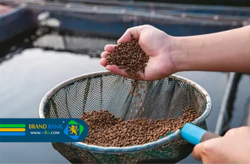 مجموعه تولید خوراک آبزیان دردانه فلارد