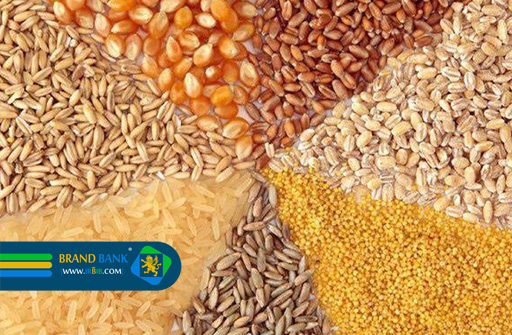 شرکت جهان کاوه |‌ تولیدکننده خوراک دام و طیور