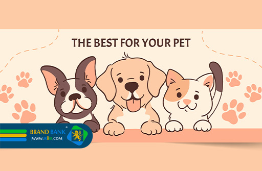 شرکت کیمیا دانه | تولید خوراک پت