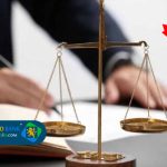 هومن مرتضوی وکیل تورنتو کانادا