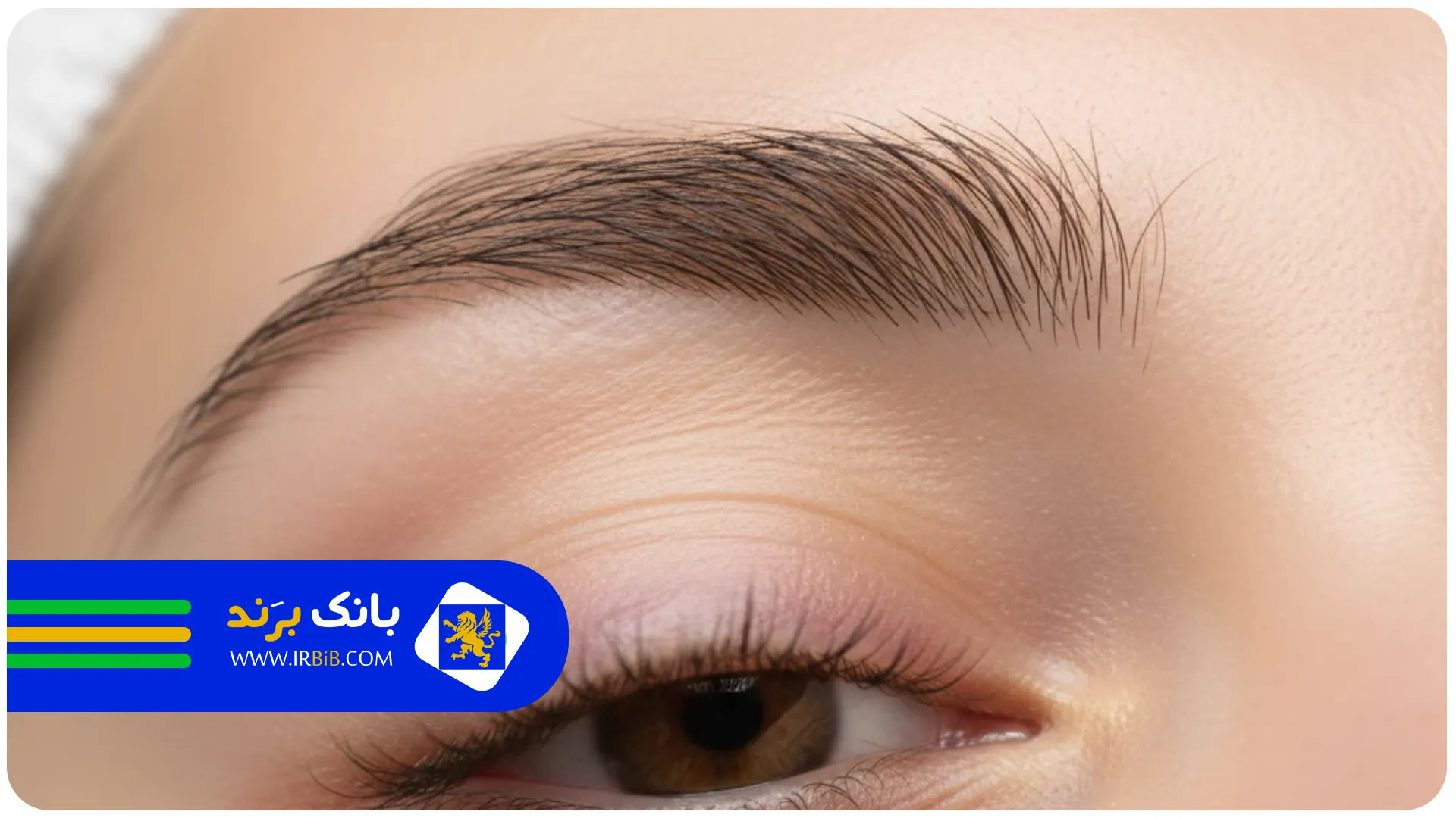 تصویر شاخص | بهترین کاشت ابرو در تهران