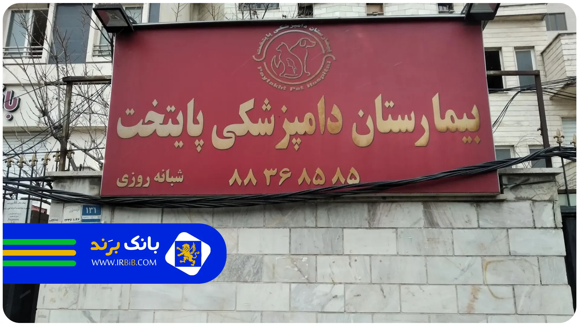 پایتخت | بهترین کلینیک دامپزشکی در تهران