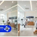 لیست ۱۰ تا از بهترین کلینیک دامپزشکی در تهران + تلفن + آدرس