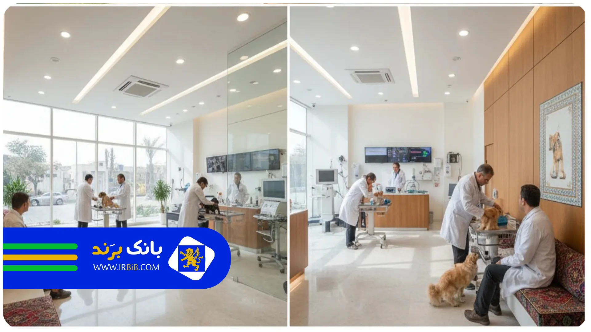 تصویر شاخص | بهترین کلینیک دامپزشکی در تهران