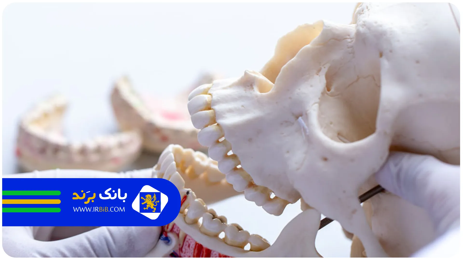 خدمات | بهترین جراح فک و صورت تهران