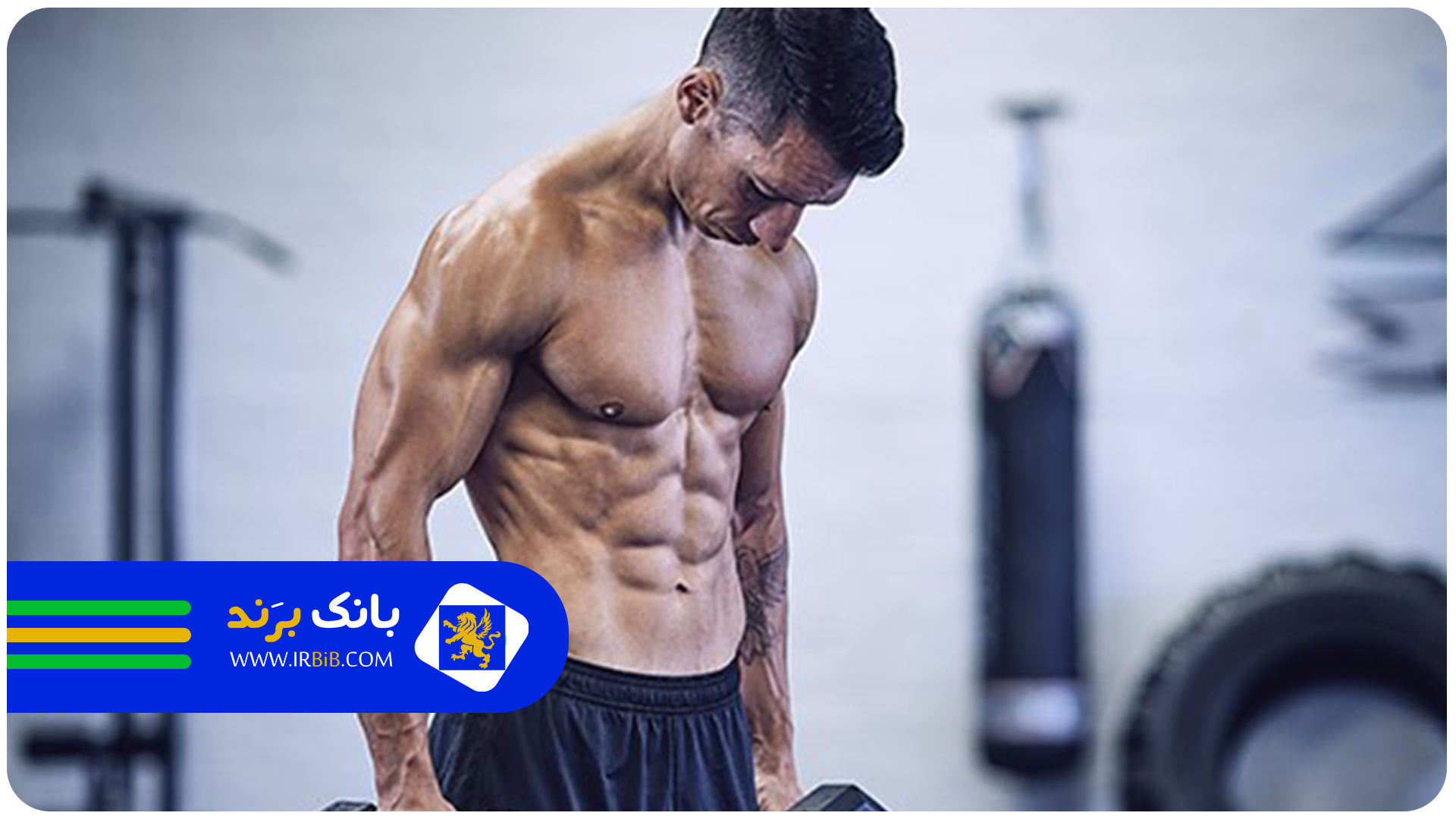 ویژگی باشگاه بدنسازی خوب چیست؟ + لیست ۳۶ ویژگی مهم