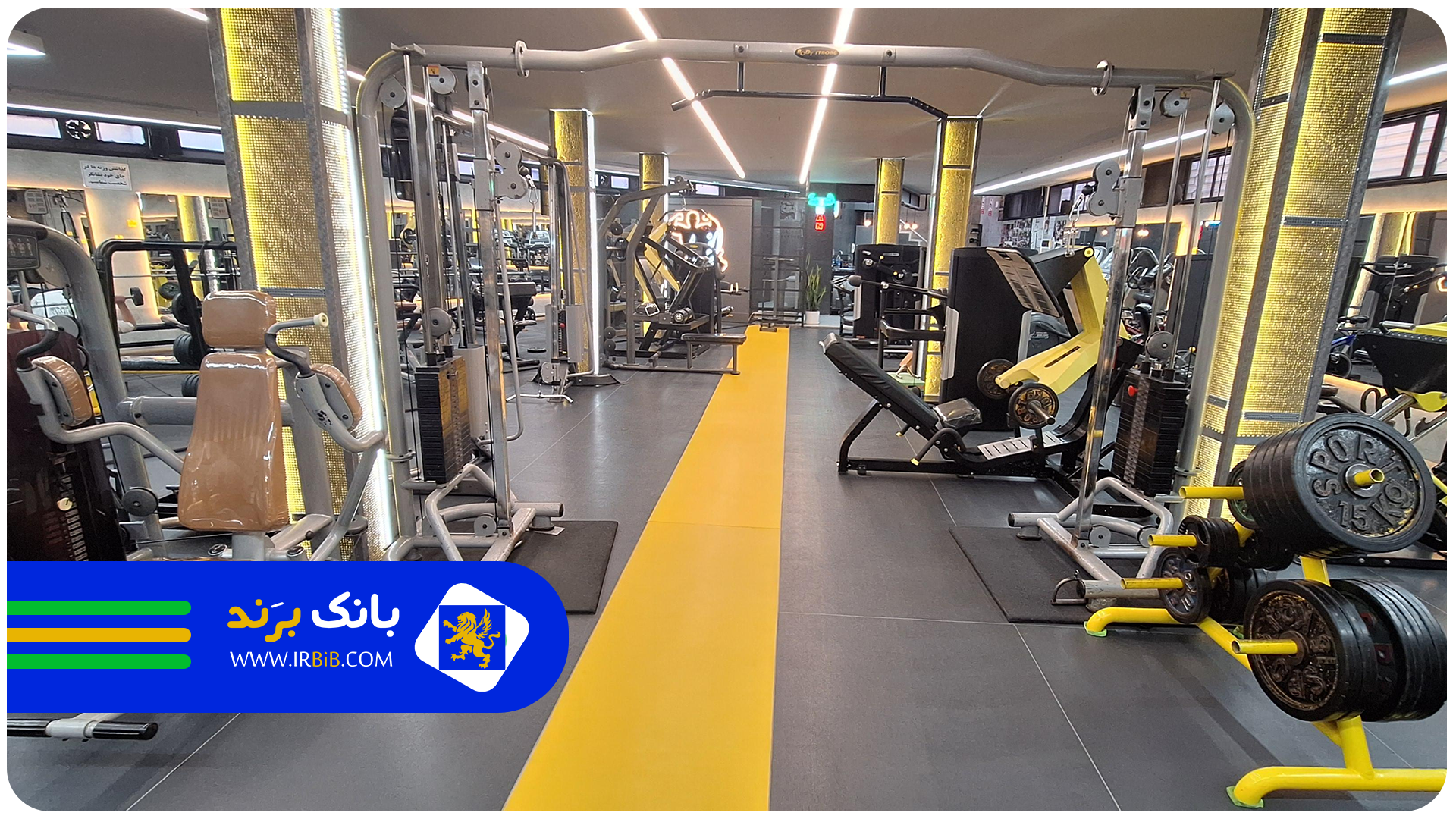 راهنمای کامل قیمت باشگاه بدنسازی در تهران (آقایان و بانوان)