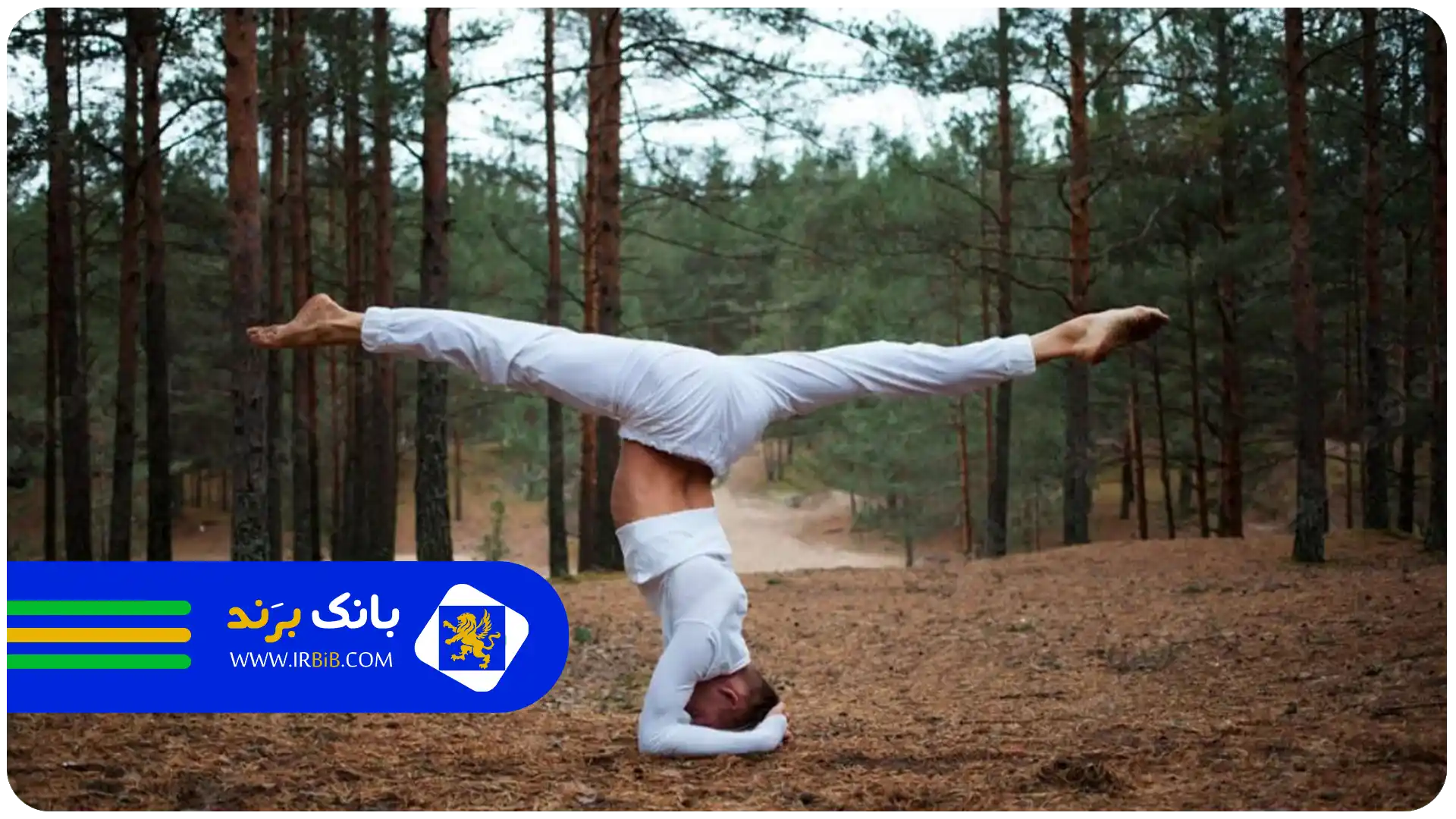 بهترین مرکز یوگا در شمال تهران | مرکز موسسه یوگا
