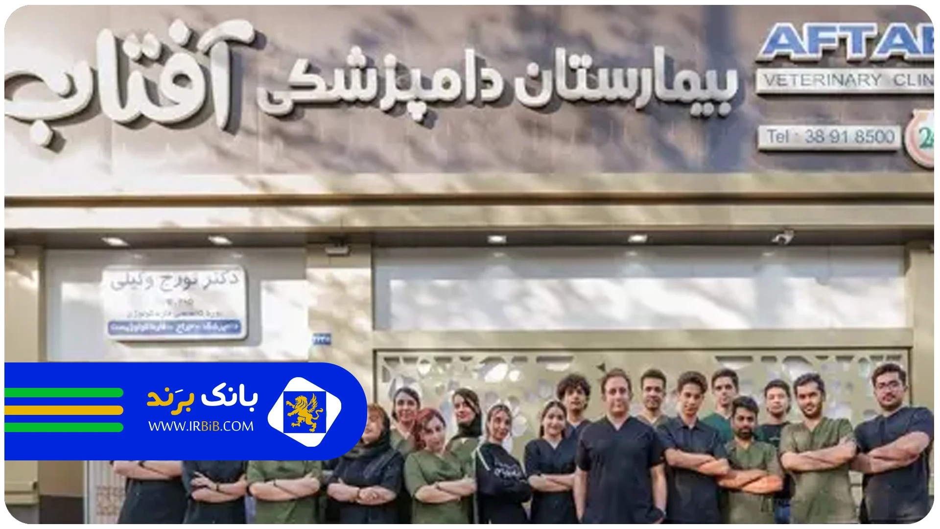  کلینیک دامپزشکی در مشهد |لیست کلینیک های دامپزشکی|دامپزشکی در مشهد