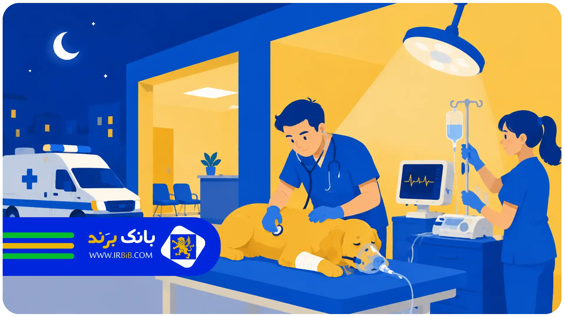 بهترین کلینیک دامپزشکی در تهران | خدمات اورژانس و پذیرش شبانهروزی