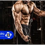 هزینه باشگاه بدنسازی در تهران