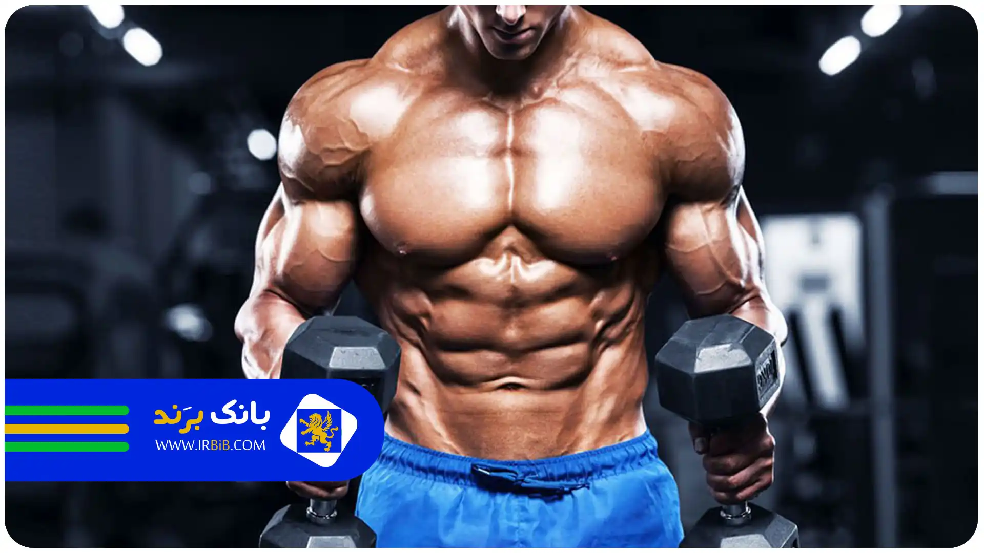 هزینه باشگاه بدنسازی در تهران